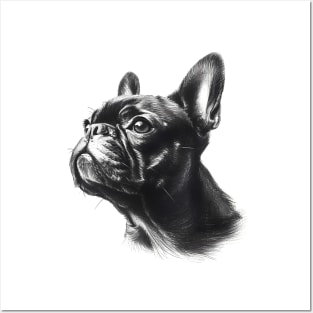 french bulldog pencil drawing [Black line], act 1 Posters and Art